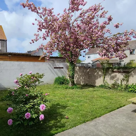 Homestay szállás Zen *